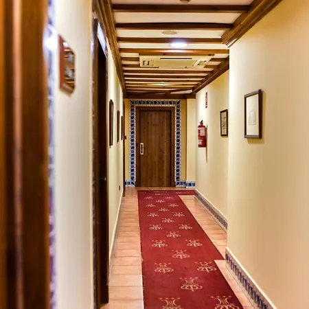 Otel Alegria Bodega Real